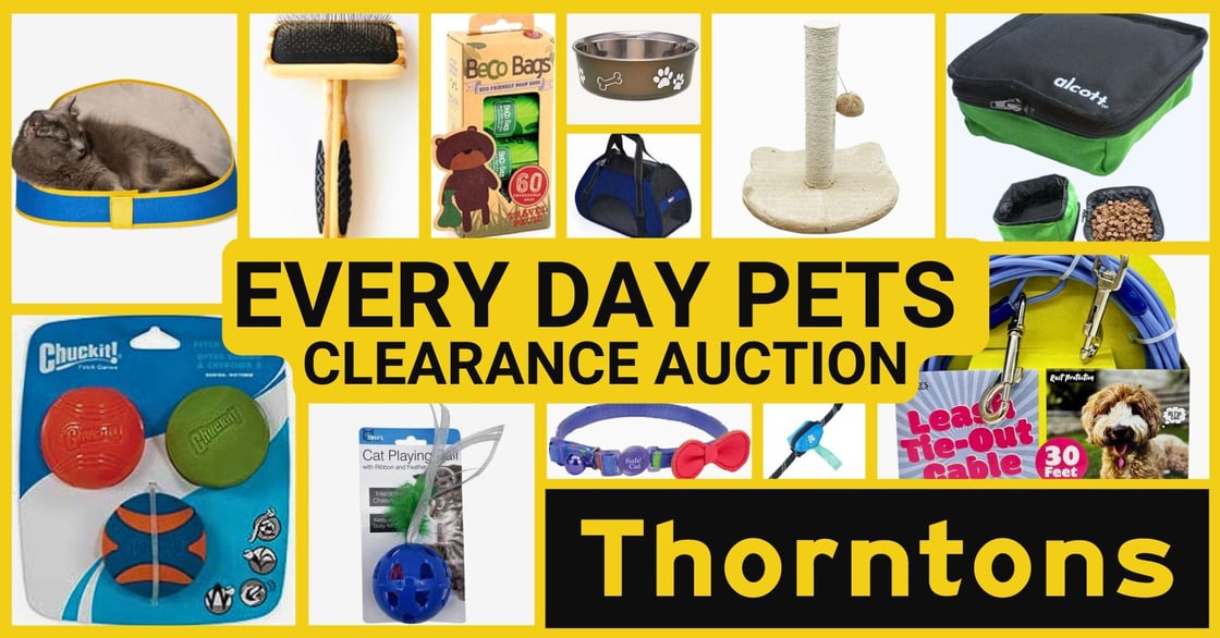 Every Day Pets Auction